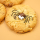 Close-up of a Halloween spider cookie with edible chocolate spider decoration